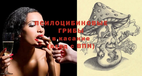 ПСИЛОЦИБИНОВЫЕ ГРИБЫ Алексин
