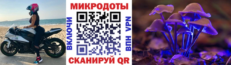 купить наркотики сайты  Пущино  Галлюциногенные грибы Magic Shrooms 